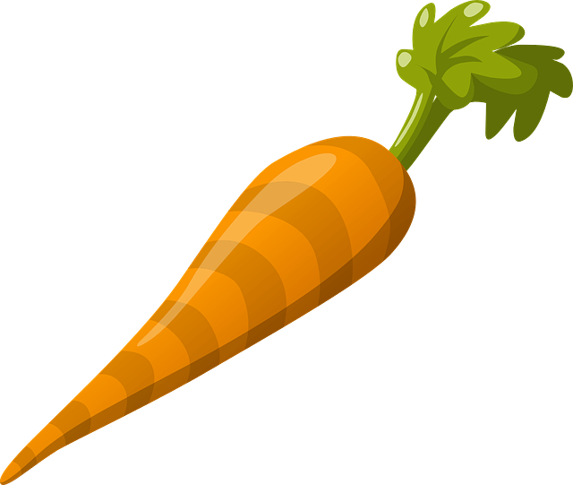 manfaat wortel bagi kesehatan